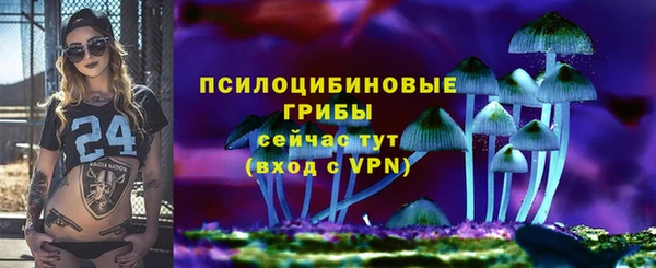 винт Переславль-Залесский