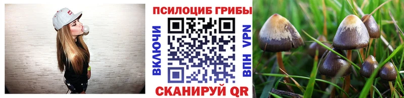 наркотики  Нижняя Салда  Псилоцибиновые грибы Magic Shrooms 